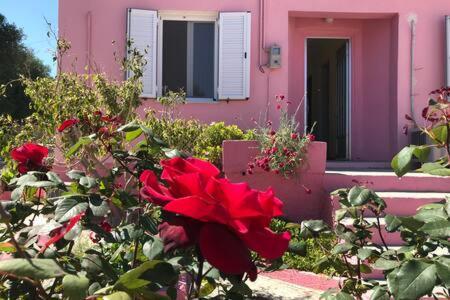 Pink House Pesádha Exterior foto